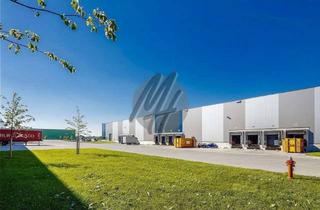 Gewerbeimmobilie mieten in 64409 Messel, PROVISIONSFREI ✓ LOGISTIK-NEUBAU ✓ 30.000 m² / teilbar ✓ viele Rampen ✓ 12 m Höhe ✓