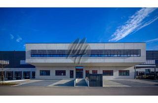 Gewerbeimmobilie mieten in 64409 Messel, PROVISIONSFREI ✓ LOGISTIK-NEUBAU ✓ 25.000 m² / teilbar ✓ viele Rampen ✓ 12 m Höhe ✓