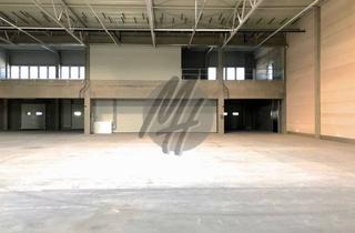 Gewerbeimmobilie mieten in 64372 Ober-Ramstadt, PROVISIONSFREI ✓ LAGER-/LOGISTIK-NEUBAU ✓ 15.000 m² / teilbar ✓ Rampe + eben ✓ 10 m Höhe ✓