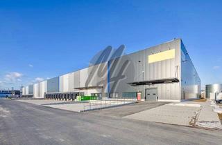 Gewerbeimmobilie mieten in 64839 Münster, PROVISIONSFREI ✓ LAGER-/LOGISTIK-NEUBAU ✓ 30.000 m² / teilbar ✓ Rampe + eben ✓ 10 m Höhe ✓