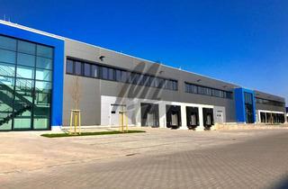 Gewerbeimmobilie mieten in 64839 Münster, PROVISIONSFREI ✓ LAGER-/LOGISTIK-NEUBAU ✓ 25.000 m² / teilbar ✓ Rampe + eben ✓ 10 m Höhe ✓