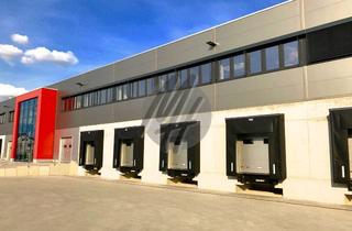Gewerbeimmobilie mieten in 64839 Münster, PROVISIONSFREI ✓ LAGER-/LOGISTIK-NEUBAU ✓ 15.000 m² / teilbar ✓ Rampe + eben ✓ 10 m Höhe ✓