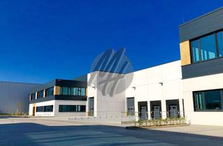 Gewerbeimmobilie mieten in 64839 Münster, PROVISIONSFREI ✓ LAGER-/LOGISTIK-NEUBAU ✓ 10.000 m² / teilbar ✓ Rampe + eben ✓ 10 m Höhe ✓