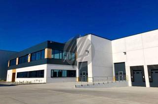 Gewerbeimmobilie mieten in 64839 Münster, PROVISIONSFREI ✓ LAGER-/LOGISTIK-NEUBAU ✓ 5.000 m² / teilbar ✓ Rampe + eben ✓ 10 m Höhe ✓