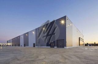Gewerbeimmobilie mieten in 64823 Groß-Umstadt, PROVISIONSFREI ✓ LAGER-/LOGISTIK-NEUBAU ✓ 30.000 m² / teilbar ✓ Rampe + eben ✓ 10 m Höhe ✓