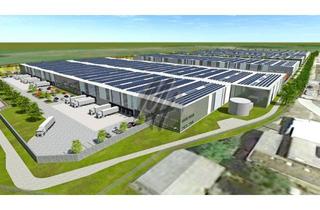 Gewerbeimmobilie mieten in 55268 Nieder-Olm, PROVISIONSFREI ✓ NEUBAU-PROJEKT ✓ 50.000 m² / teilbar ✓ moderne Lager-/Logistikflächen ✓