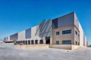 Gewerbeimmobilie mieten in 68647 Biblis, PROVISIONSFREI ✓ LAGER-/LOGISTIK-NEUBAU ✓ 30.000 m² / teilbar ✓ Rampe + eben ✓ 10 m Höhe ✓