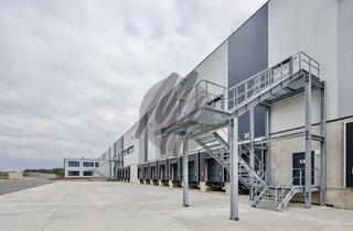 Gewerbeimmobilie mieten in 61200 Wölfersheim, PROVISIONSFREI ✓ LAGER-/LOGISTIK-NEUBAU ✓ 30.000 m² / teilbar ✓ Rampe + eben ✓ 10 m Höhe ✓