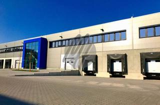 Gewerbeimmobilie mieten in 61200 Wölfersheim, PROVISIONSFREI ✓ LAGER-/LOGISTIK-NEUBAU ✓ 20.000 m² / teilbar ✓ Rampe + eben ✓ 10 m Höhe ✓