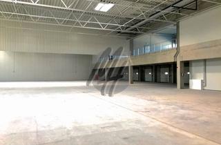 Gewerbeimmobilie mieten in 61200 Wölfersheim, PROVISIONSFREI ✓ LAGER-/LOGISTIK-NEUBAU ✓ 15.000 m² / teilbar ✓ Rampe + eben ✓ 10 m Höhe ✓