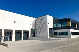 Gewerbeimmobilie mieten in 61200 Wölfersheim, PROVISIONSFREI ✓ LAGER-/LOGISTIK-NEUBAU ✓ 10.000 m² / teilbar ✓ Rampe + eben ✓ 10 m Höhe ✓