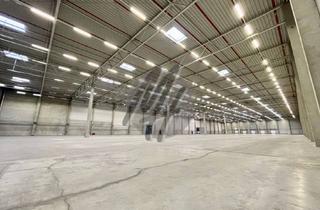 Gewerbeimmobilie mieten in 63674 Altenstadt, PROVISIONSFREI ✓ LOGISTIK-NEUBAU ✓ 50.000 m² / teilbar ✓ viele Rampen ✓ 12 m Höhe ✓