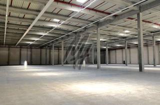 Gewerbeimmobilie mieten in 63674 Altenstadt, PROVISIONSFREI ✓ LOGISTIK-NEUBAU ✓ 30.000 m² / teilbar ✓ viele Rampen ✓ 12 m Höhe ✓