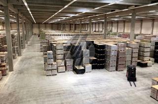 Gewerbeimmobilie mieten in 63674 Altenstadt, PROVISIONSFREI ✓ LOGISTIK-NEUBAU ✓ 40.000 m² / teilbar ✓ viele Rampen ✓ 12 m Höhe ✓