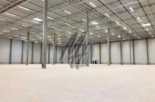 Gewerbeimmobilie mieten in 65232 Taunusstein, PROVISIONSFREI ✓ LOGISTIK-NEUBAU ✓ westliche Rhein-Main-Region ✓ 100.000 m² / teilbar ✓
