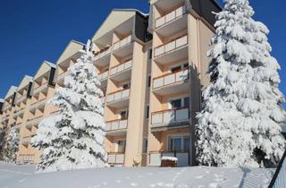 Wohnung mieten in 09484 Oberwiesenthal, Traumhafte 1-Raumwohnung mit Panoramablick//Ferienwohnung//Zweitwohnsitz