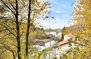 Grundstück zu kaufen in Sudetenstr., 69483 Wald-Michelbach, PREISREDUKTION! - PROVISIONSFREI! Verwirklichen Sie sich Ihren Traum vom Eigenheim