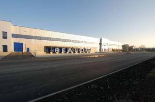 Gewerbeimmobilie mieten in 35428 Langgöns, PROVISIONSFREIER NEUBAU: Ca. 20.000 qm Lager / Logistik | Rampe + ebenerdig | ca. 12,00 m UKB