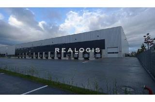 Gewerbeimmobilie mieten in 35418 Buseck, PROVISIONSFREIER NEUBAU: Ca. 60.000 qm Lager / Logistik | Rampe + ebenerdig | ca. 12,00 m UKB