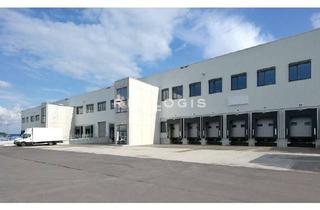 Gewerbeimmobilie mieten in 35415 Pohlheim, PROVISIONSFREIER NEUBAU: Ca. 30.000 qm Lager / Logistik | Rampe + ebenerdig | ca. 12,00 m UKB