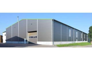 Gewerbeimmobilie mieten in 68642 Bürstadt, "BAUMÜLLER & CO." 2.500 qm Hallenfläche - ebenerdige Andienung