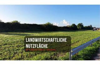 Lager mieten in Bahnhofstrasse 45, 41472 Neuss, Videoüberwachte Freifläche bis 10.000 m² | Logistik | Außenlager | Container