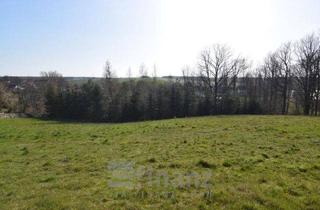 Grundstück zu kaufen in 08451 Crimmitschau, Baugrundstück in Crimmitschau