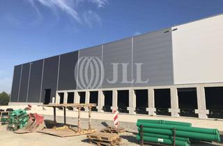 Gewerbeimmobilie mieten in 39171 Sülzetal, 20.000 m² Logistikhalle / Neubau / ab sofort mieten
