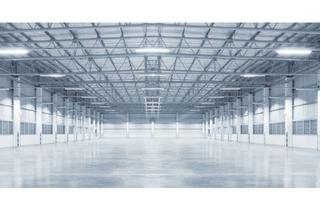 Gewerbeimmobilie mieten in 76470 Ötigheim, "BAUMÜLLER & CO." - ca. 20.000 m² Logistik-NEUBAU - Anmietung von Teilflächen möglich!