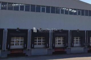 Gewerbeimmobilie mieten in 68775 Ketsch, "BAUMÜLLER & CO." ca. 7.000 qm Lagerhalle - ebenerdige / Rampe - sehr gute Anbindung
