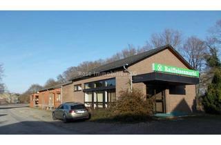 Gewerbeimmobilie kaufen in 31606 Warmsen, ROSE IMMOBILIEN KG: Gewerbeimmobilie mit großem Grundstück in Warmsen zu verkaufen!