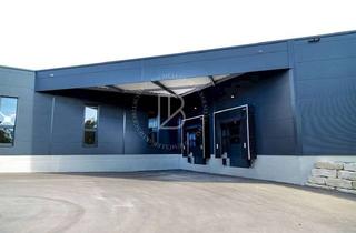Gewerbeimmobilie kaufen in 64372 Ober-Ramstadt, "BAUMÜLLER AG" - KAUF - ca. 4.000 qm Lager-/ Produktionsfläche / Kapitalanlage