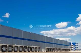 Gewerbeimmobilie mieten in 36404 Vacha, Projektierter Neubau einer Lager-und Logistikhalle mit 24/7 Nutzung