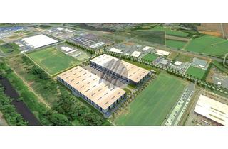 Büro zu mieten in 63526 Erlensee, KEINE PROVISION ✓ NEUBAU ✓ Lager-/Logistikflächen (20.000 m²) & optional Büroflächen zu vermieten