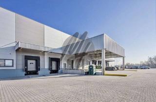 Büro zu mieten in 63526 Erlensee, KEINE PROVISION ✓ NEUBAU ✓ Lager-/Produktionsflächen (14.000 m²) & Büro-/Sozialflächen (2.000 m²)