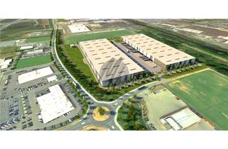 Büro zu mieten in 63526 Erlensee, KEINE PROVISION ✓ NEUBAU ✓ Lager-/Logistikflächen (13.000-65.000 m²) & optional Büro zu vermieten