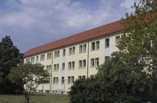 Wohnung mieten in Bergmannsring 10-17, 04610 Meuselwitz, +++ Tolle 3-RWG ca 58 m² in Topzustand mit Laminat, EBK und Tageslichtbad +++