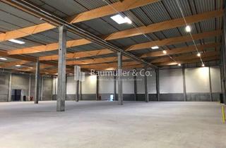 Gewerbeimmobilie mieten in 01587 Riesa, "BAUMÜLLER & CO." ca. 20.000 m² Hallen-/ Produktionsfläche mit ausreichend Stellplätzen