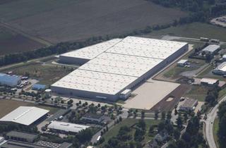 Gewerbeimmobilie mieten in 34582 Borken, Logistikhalle mit Bahnanschluss