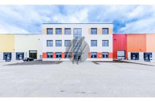 Büro zu mieten in 63526 Erlensee, NEUBAU / ERSTBEZUG ✓ Lager-/Logistikflächen (6.500 m²) & Büroflächen (1.000 m²) zu vermieten