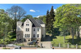 Büro zu mieten in 08209 Auerbach, Großzügige Gewerbeeinheit in Villa/Callcenter/Praxis/Büro