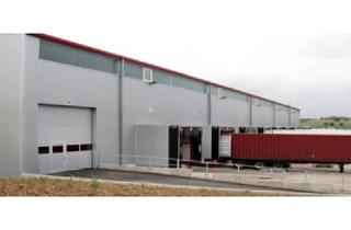 Büro zu mieten in 61118 Bad Vilbel, "BAUMÜLLER & CO." ca. 6.500 m² Halle + 1.500 m² Büro - nah an A661 -