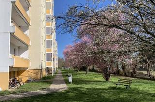 Wohnung mieten in Kleine Mühlenbreite 4-6, 39240 Calbe, Kleine Wohnung mit großem Balkon-als Musterwohnung