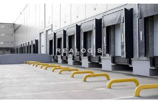 Gewerbeimmobilie mieten in 89542 Herbrechtingen, Herbrechtingen, ca. 20.000 m² Neubau Logistikfläche zu vermieten