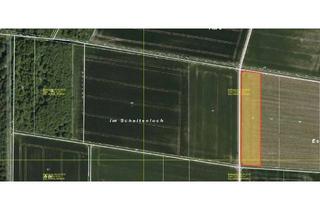 Grundstück zu kaufen in 35415 Pohlheim, Landwirtschaftliche Fläche / Ackerland