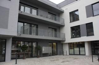 Wohnung mieten in Hauptstraße 56, 97990 Weikersheim, Ihr Appartement in der Residenz Weikersheim, WohnenPLUS für Senioren