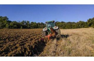 Gewerbeimmobilie kaufen in 65520 Bad Camberg, Ackerland