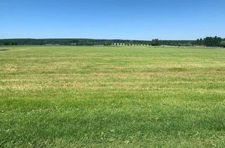 Anlageobjekt in 09468 Geyer, Geyer - Kapitalanlage - Langfristig verpachtetes Grundstück bei Geyer