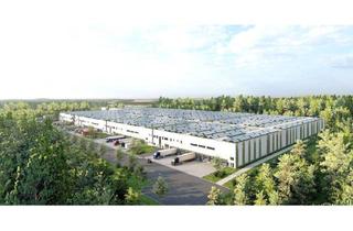 Gewerbeimmobilie mieten in 14823 Niemegk, AREAL 9 - Logistikpark Niemegk - Neubau im Industriegebiet