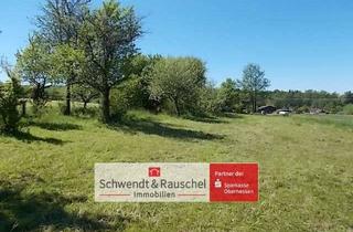 Grundstück zu kaufen in 63697 Hirzenhain, Hirzenhain-Merkenfritz: Grünland Freizeitgrundstück